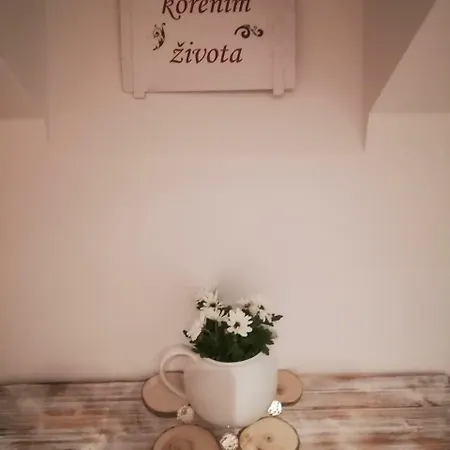 Lejlighed Ubytovani Otin *