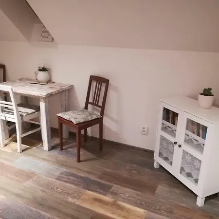 Appartement Ubytovani Otin *